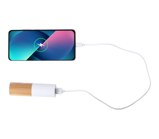 Reneh power bank