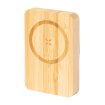 Dobson power bank
