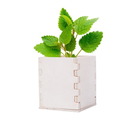 Merin menta cseréppel