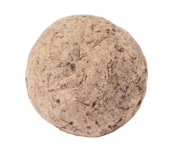 Mussox maggolyó