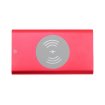 RaluWir power bank