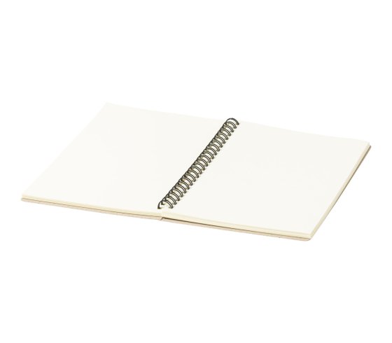 Roshan jegyzetfüzet