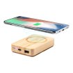 Dobson power bank